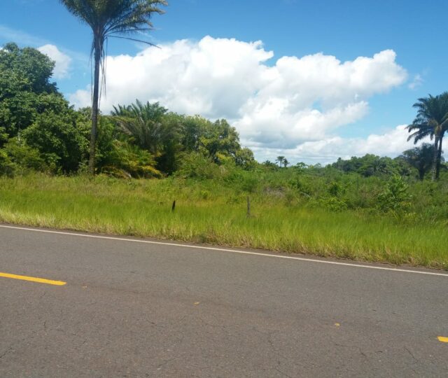 terreno na estrada para o guaibim. a venda, excelente imovel