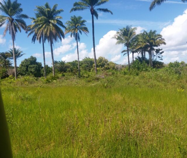 terreno na estrada para o guaibim. a venda, excelente imovel