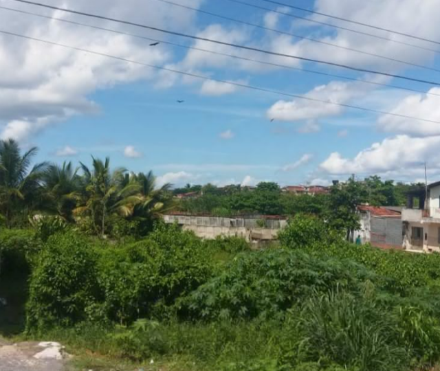 Terreno a Venda na Graça