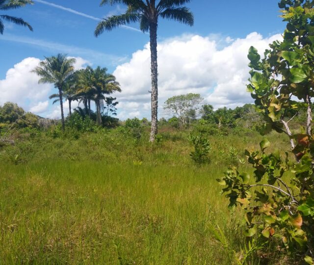 terreno na estrada para o guaibim. a venda, excelente imovel