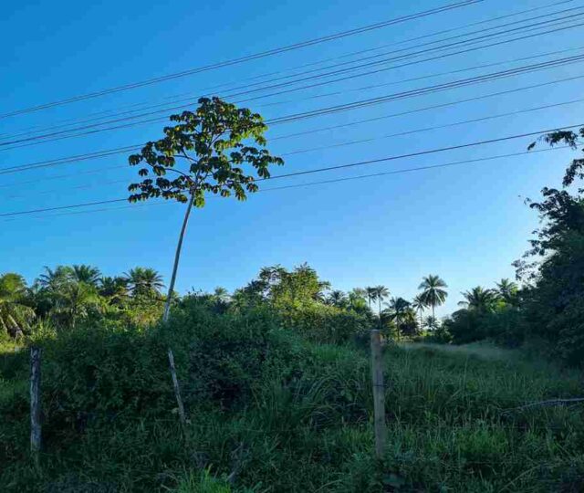 terreno a venda em valença