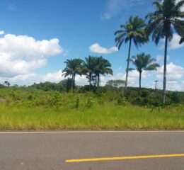 terreno na estrada para o guaibim. a venda, excelente imovel