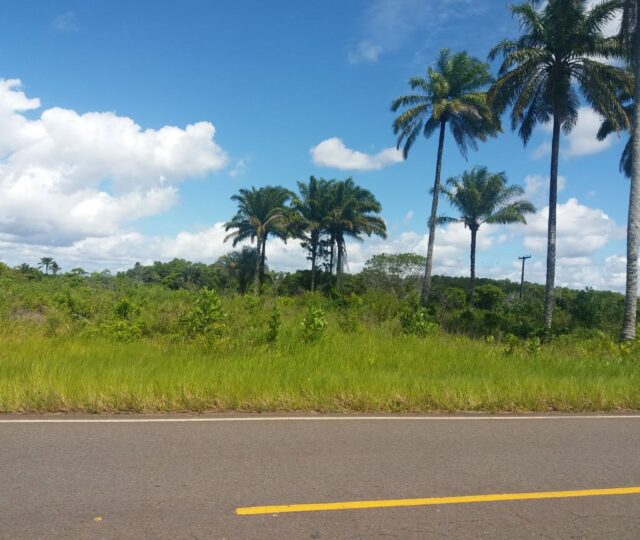 terreno na estrada para o guaibim. a venda, excelente imovel