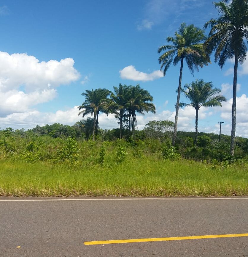 terreno na estrada para o guaibim. a venda, excelente imovel