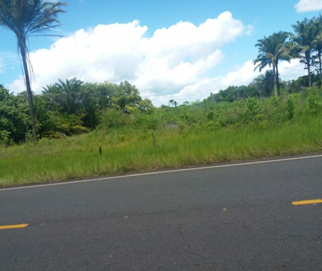 terreno na estrada para o guaibim. a venda, excelente imovel