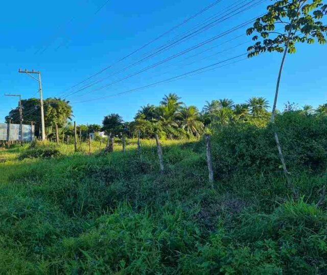 terreno a venda em valença