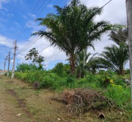 terreno a venda no novo horizonte em valença