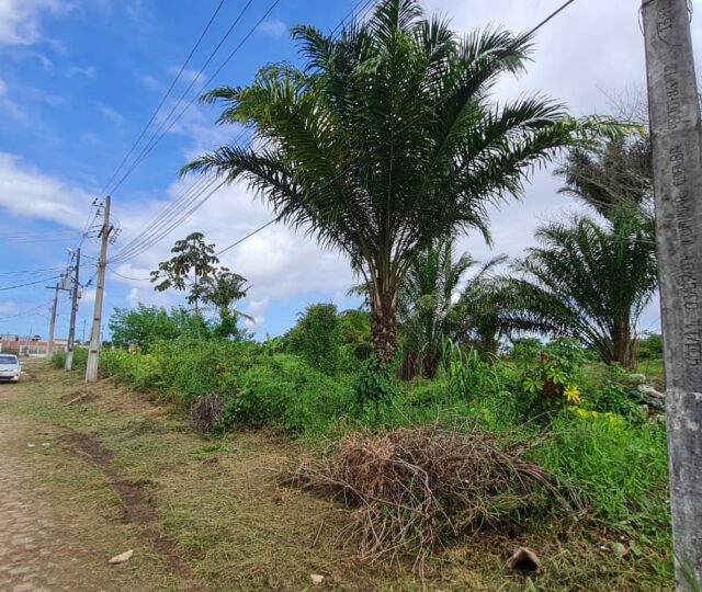 terreno a venda no novo horizonte em valença