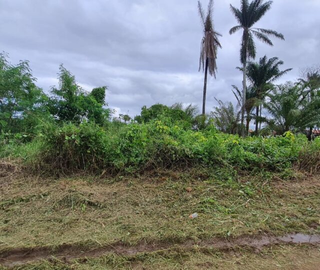 terreno a venda no novo horizonte em valença