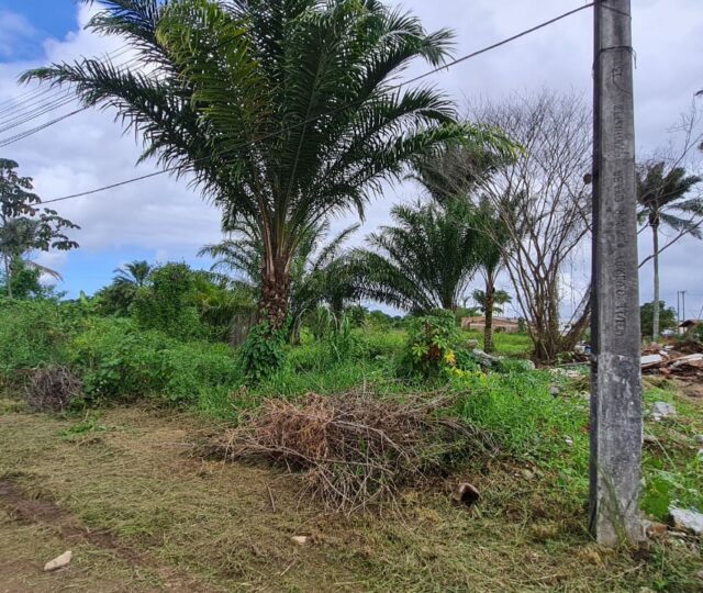 terreno a venda no novo horizonte em valença