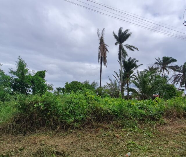 terreno a venda no novo horizonte em valença