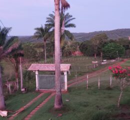 Fazenda a Venda