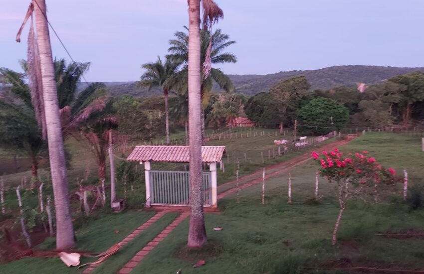Fazenda a Venda