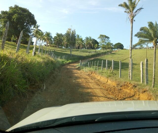 Fazenda a Venda
